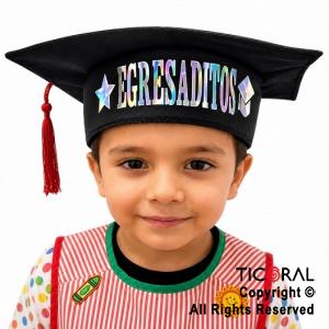 SOMBRERO EGRESADITOS METALIZADO CON PLATA TORNASOL